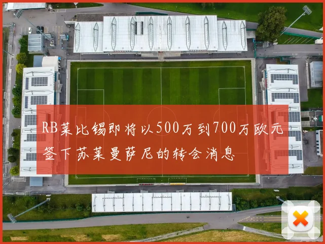 RB莱比锡即将以500万到700万欧元签下苏莱曼萨尼的转会消息