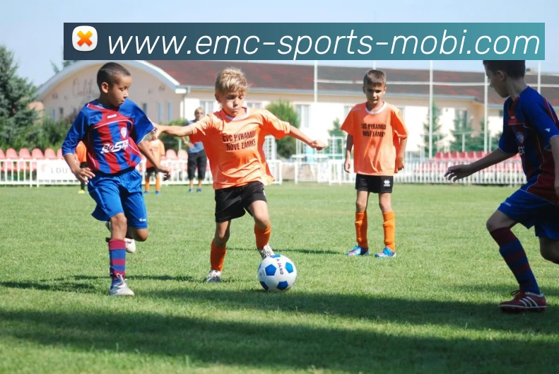 易倍体育平台生态图