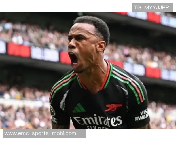 英超前十轮零封数据分析拉亚和加布表现突出萨利巴廷伯波普紧随其后 英超前十轮零封数据分析拉亚和加布表现突出萨利巴廷伯波普紧随其后